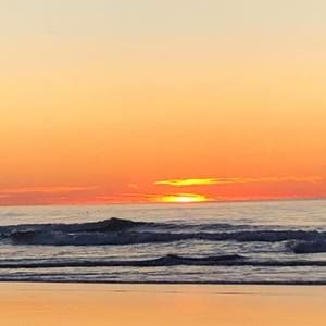 Meet your Posher, Blake